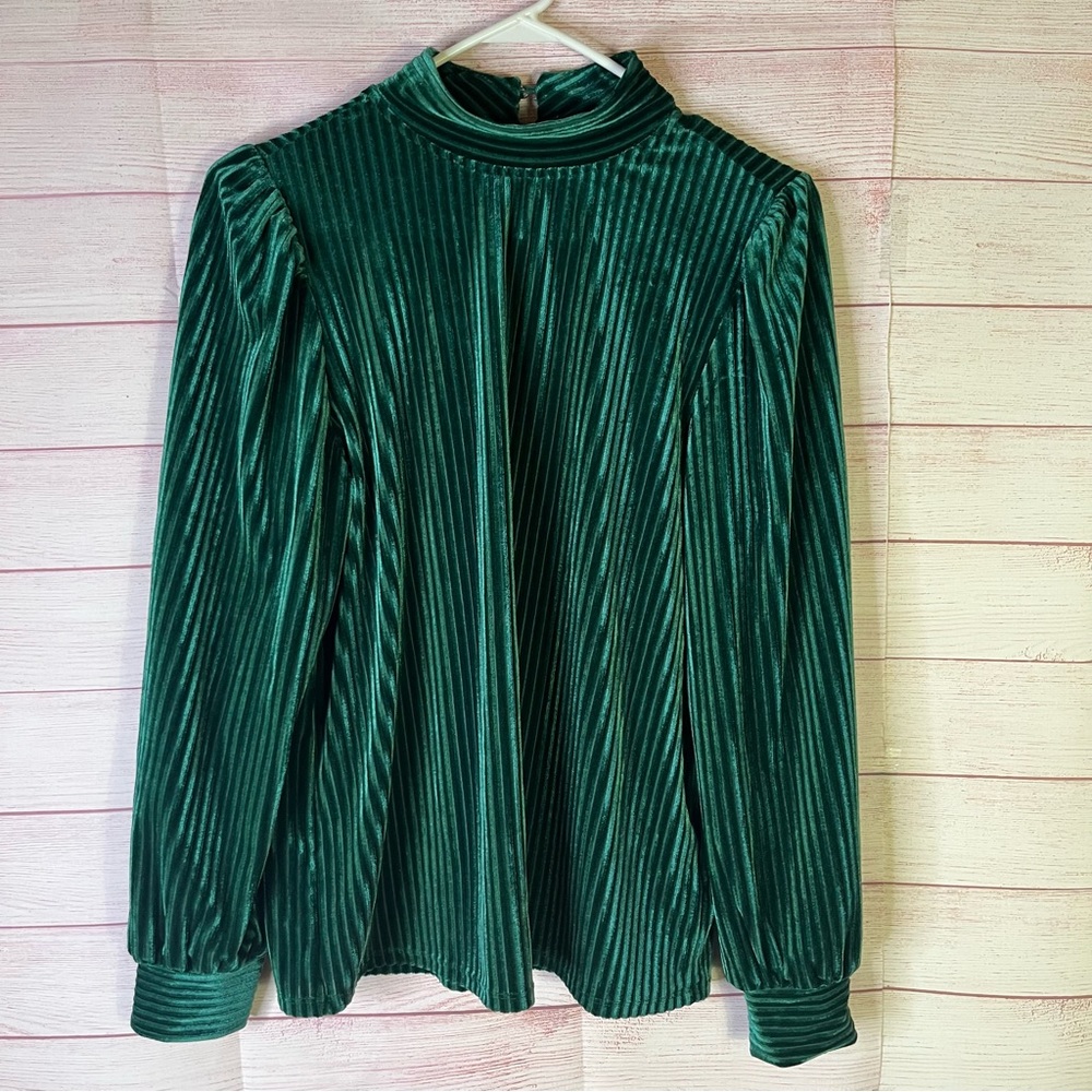 Cable & Gauge Forest Green Velvet Long Sleeve Rhinestone Button Blouse Size Med‎